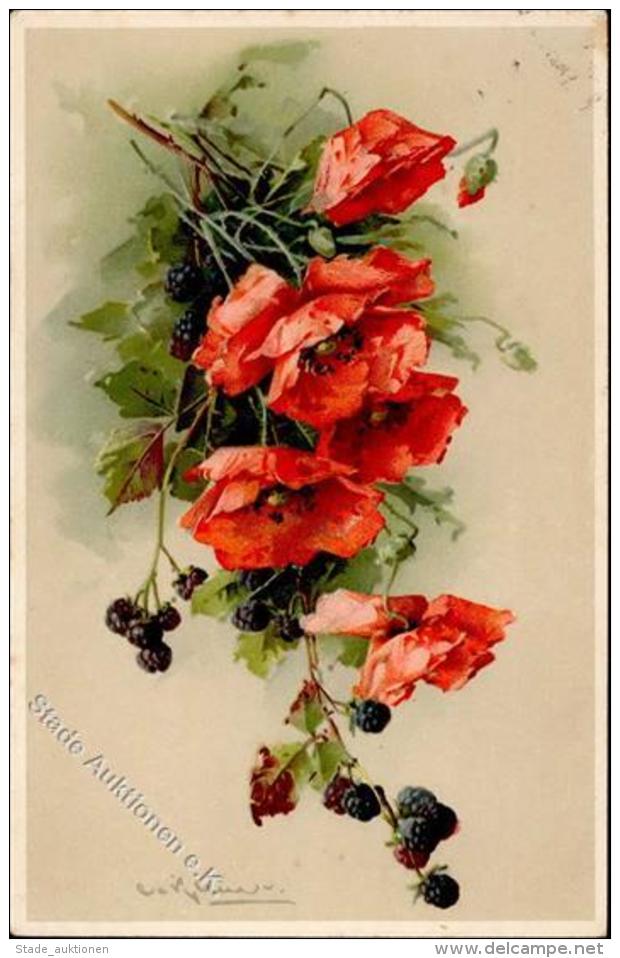 Klein, C. / C. Klein Klatschmohn Und Beeren K&uuml;nstlerkarte I-II (fleckig) - Ohne Zuordnung