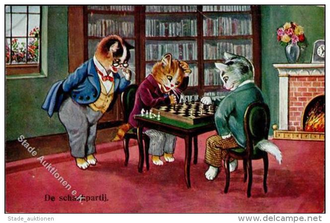 Schach Katzen Personifiziert K&uuml;nstlerkarte I-II (Ecke Abgestossen) Chat - Scacchi