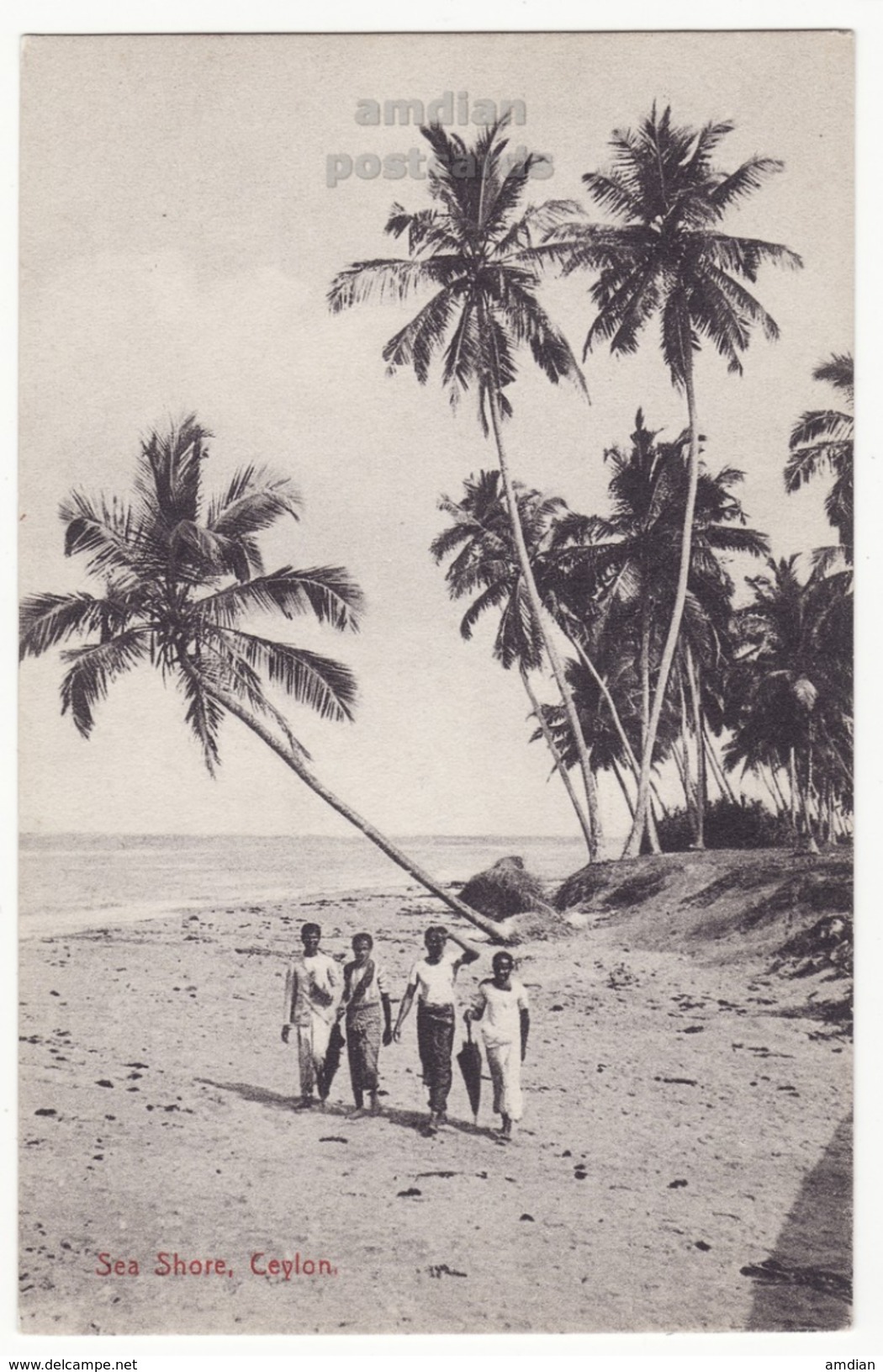 CEYLON, SEA SHORE SCENE, NATIVE PEOPLE AND PALM TREES, C1910s Postcard - CEYLAN - SRI LANKA - Sri Lanka (Ceylon)