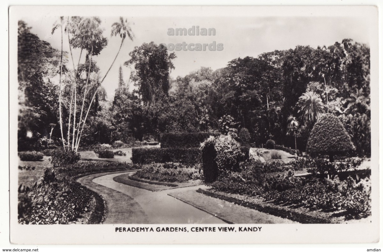 CEYLON, KANDY, PERADEMYA GARDENS CENTRE VIEW C1940s-50s RPPC Postcard - CEYLAN - SRI LANKA - Sri Lanka (Ceylon)
