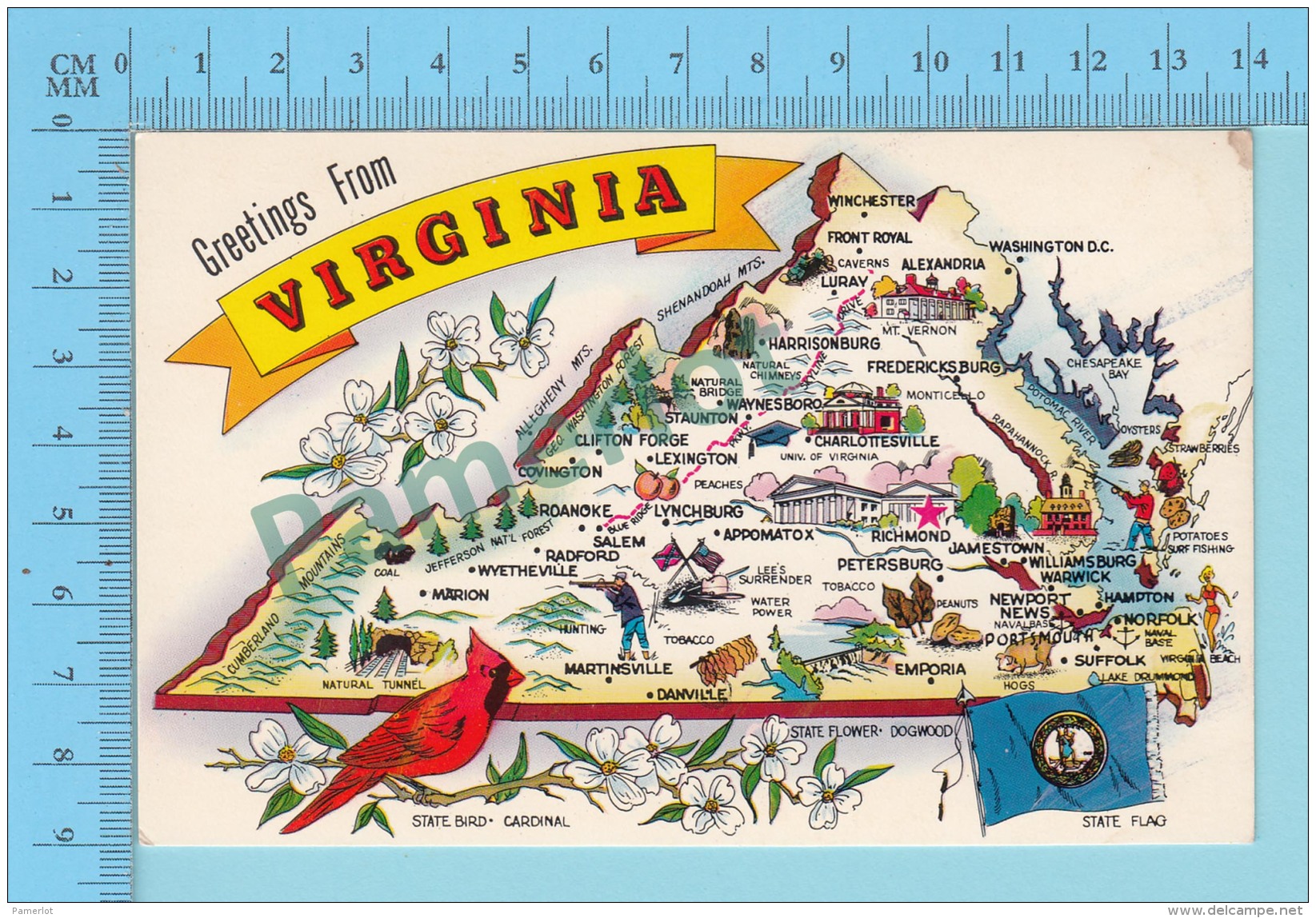 Maps, Cartes Géographiques - Greetings From Virginia, Map, Flag, State Bird - 2 Scans - Cartes Géographiques