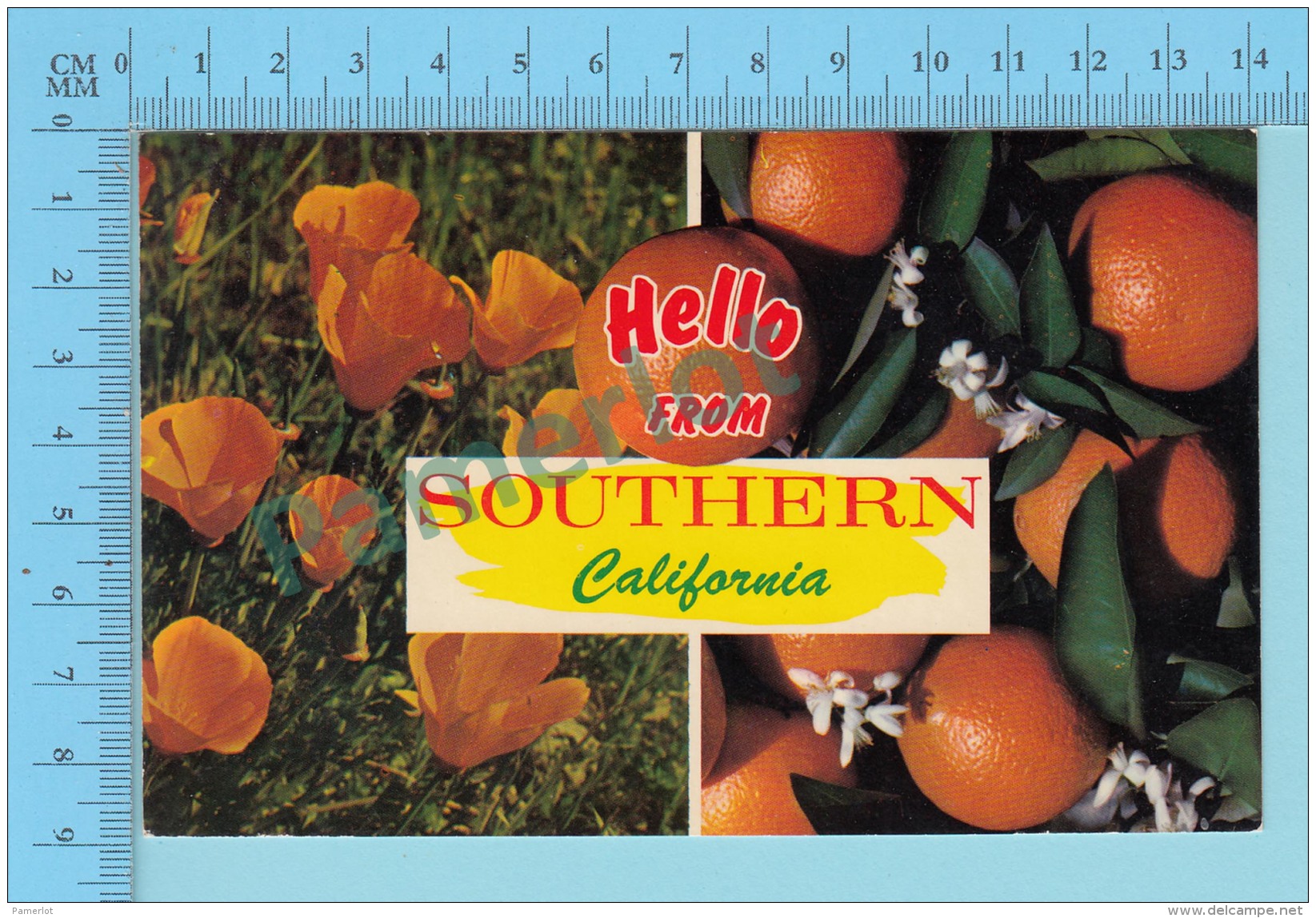 USA Multi-vues, Hello From Southern California - 2 Scans - Souvenir De...