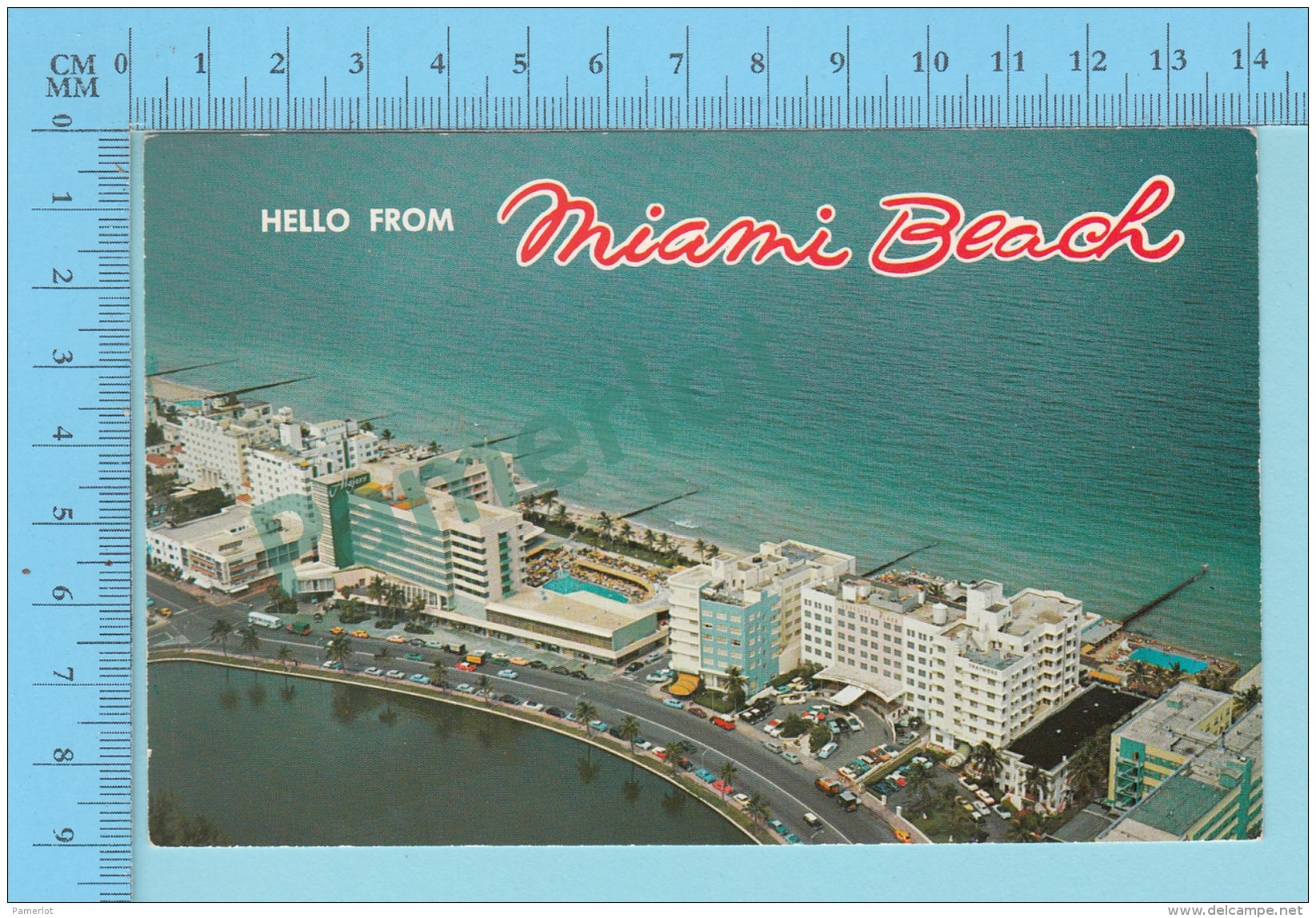 Hello From Miami Beach , Florida USA -  2 Scans - Souvenir De...