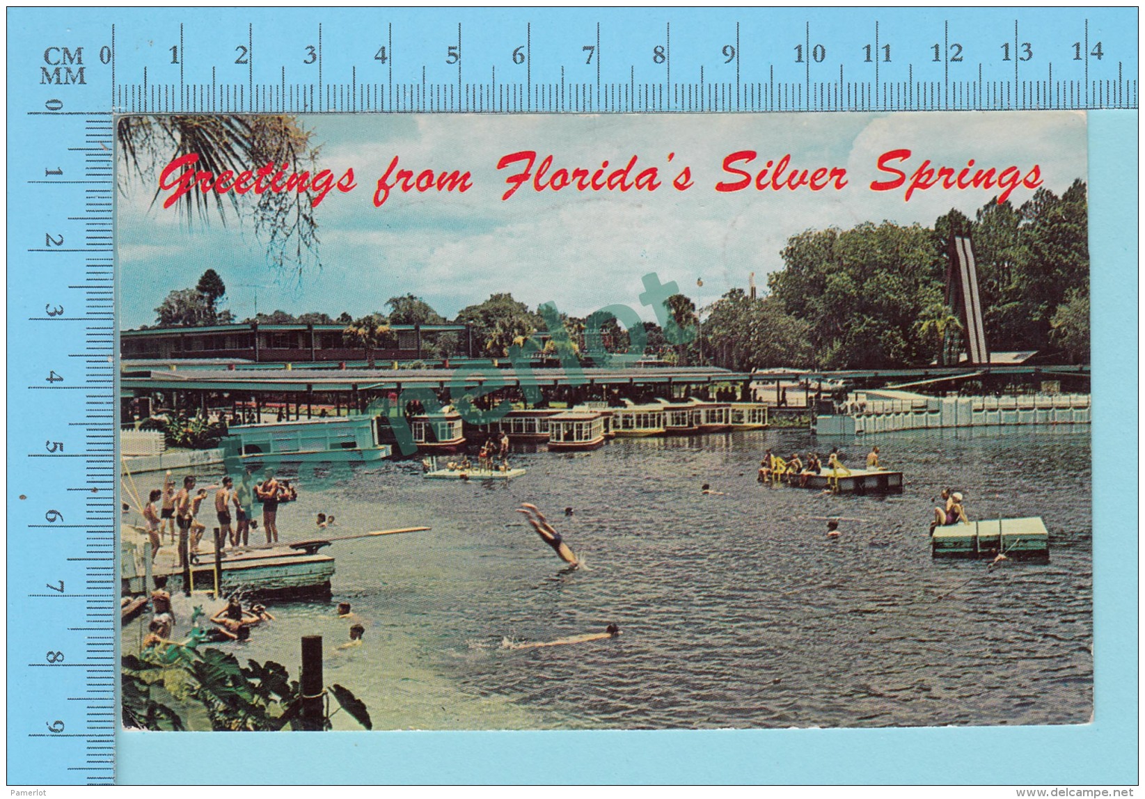 Greetings From Florida's Silver Spring , USA -  2 Scans - Souvenir De...