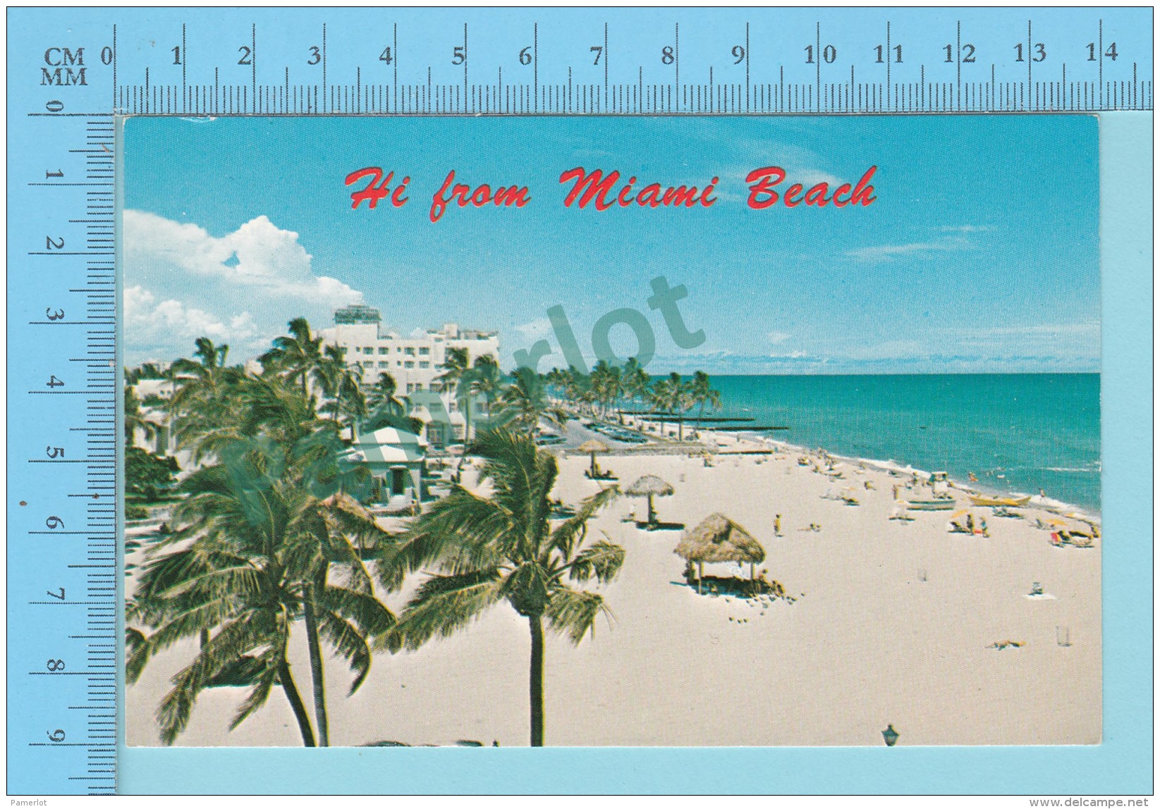 Hi From Miami Beach, Florida, USA -  2 Scans - Souvenir De...