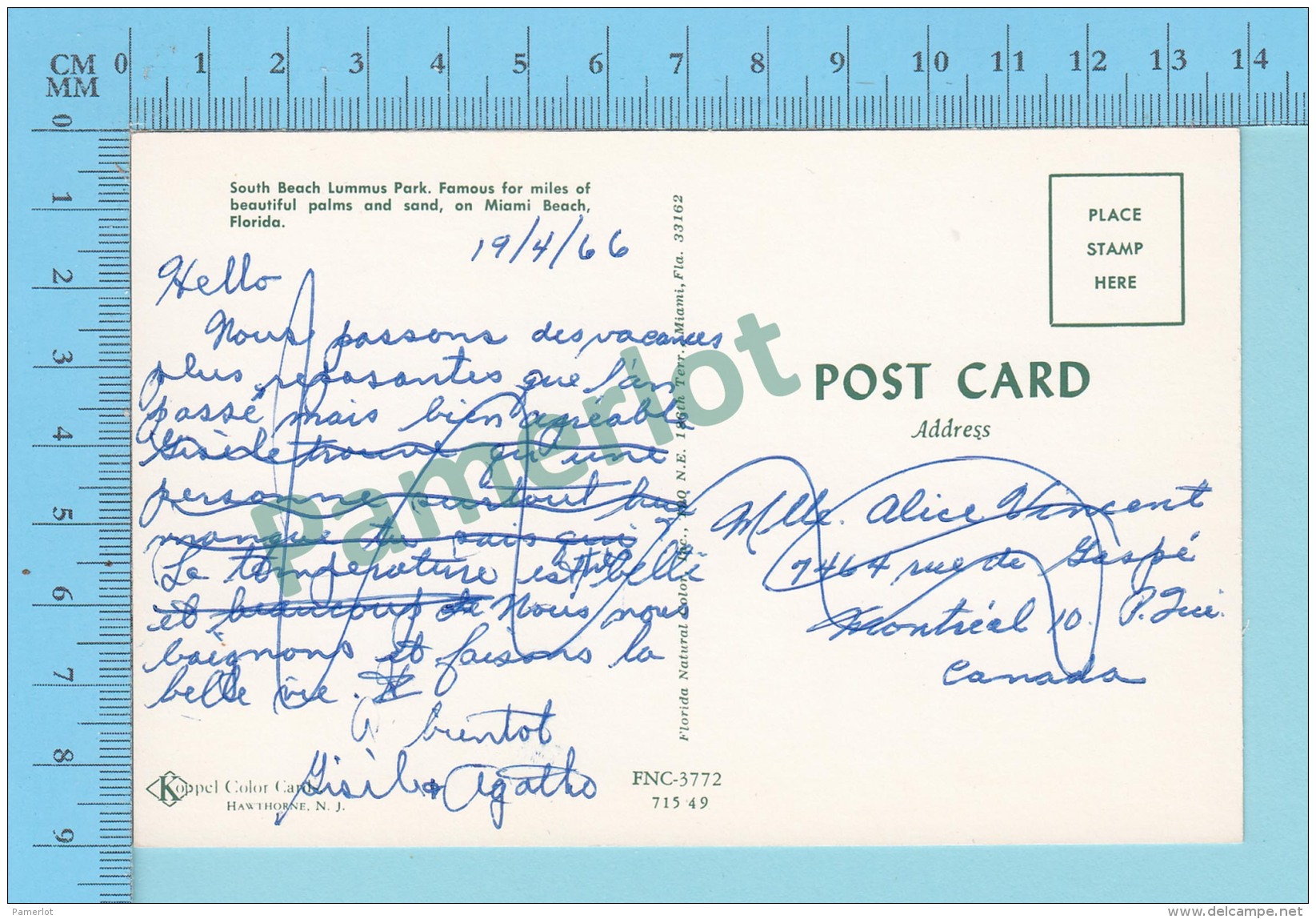 Hello From Miami Beach Florida USA  Used In 1966 -  2 Scans - Souvenir De...