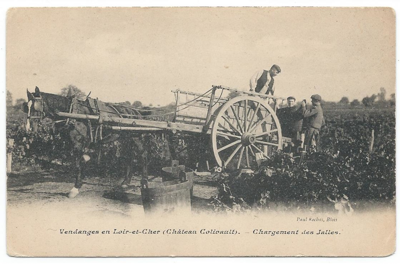 CANDE SUR BEUVRON ( 41 - Loir Et Cher ) - Vendanges - Château Colivault Chargement Des Jalles ( Attelage , Personnes ) - Other & Unclassified