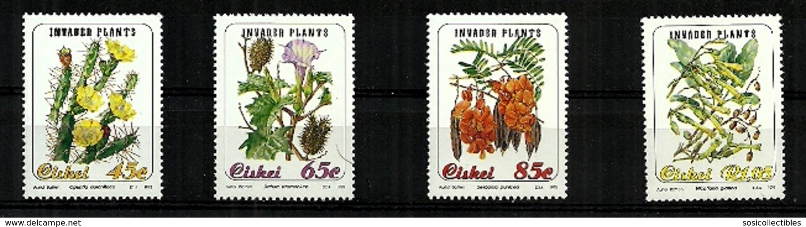 Ciskei - 1993 Invader Plants Full Set Of 4 MNH - Ciskei