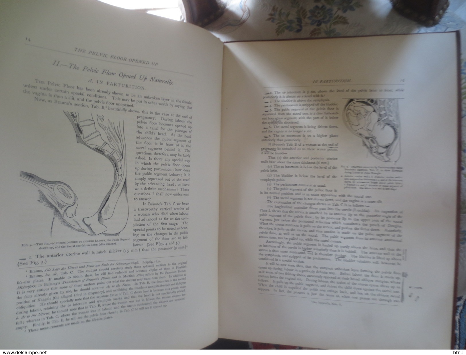 DR.DAVID BEERY HART- M.D.F.R.C.P.E- 1880- THE STRUCTURAL ANATOMY OF THE FEMALE PELVIC FLOOR- UNIVERSITY OF EDINBURGH-