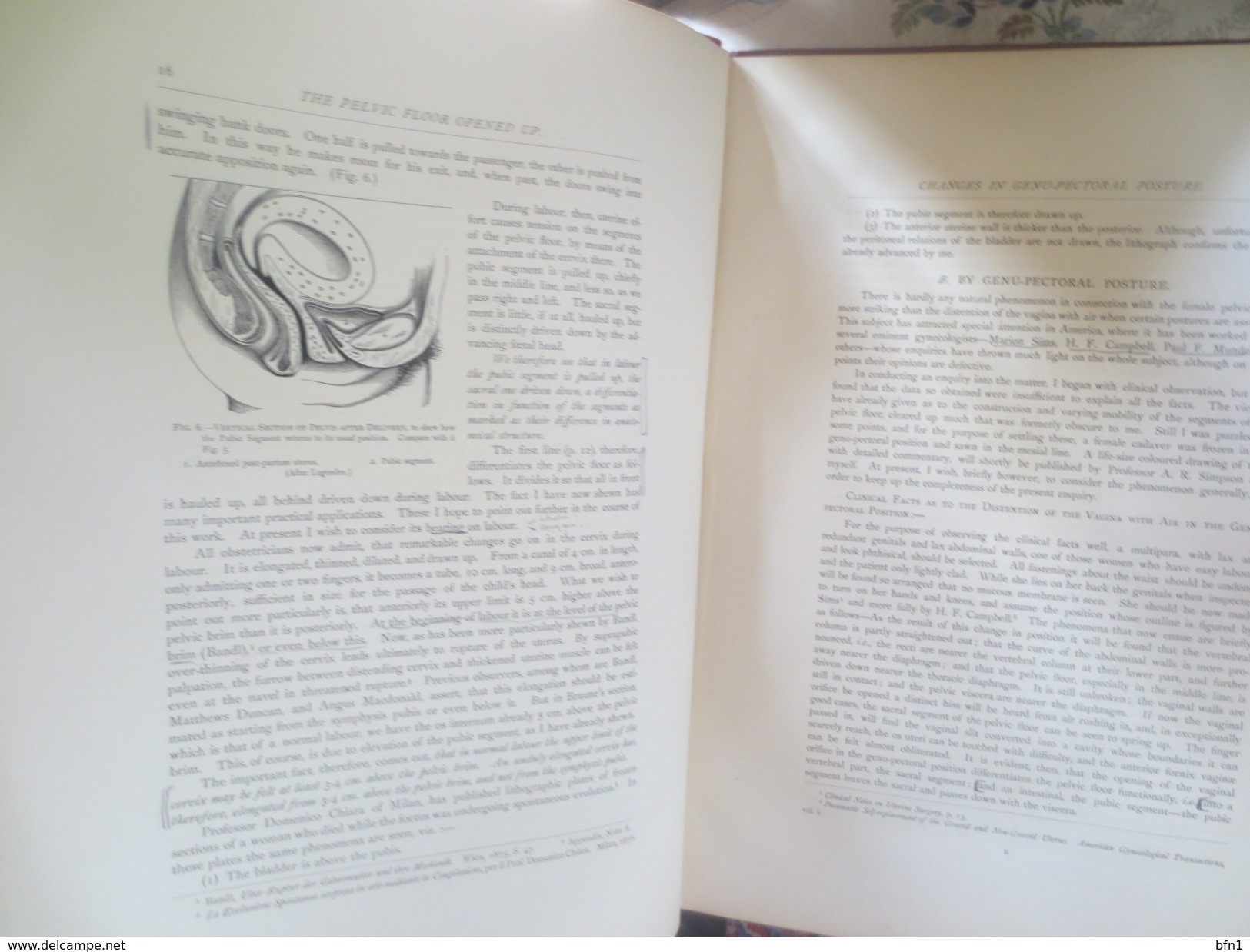 DR.DAVID BEERY HART- M.D.F.R.C.P.E- 1880- THE STRUCTURAL ANATOMY OF THE FEMALE PELVIC FLOOR- UNIVERSITY OF EDINBURGH-