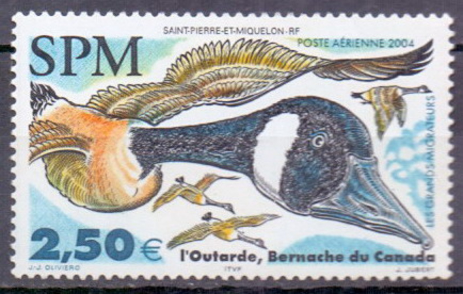 Saint Pierre And Miquelon (SPM) 2004 Migratory Birds, Duck, Goose (1v) MNH (M-419) - Geese