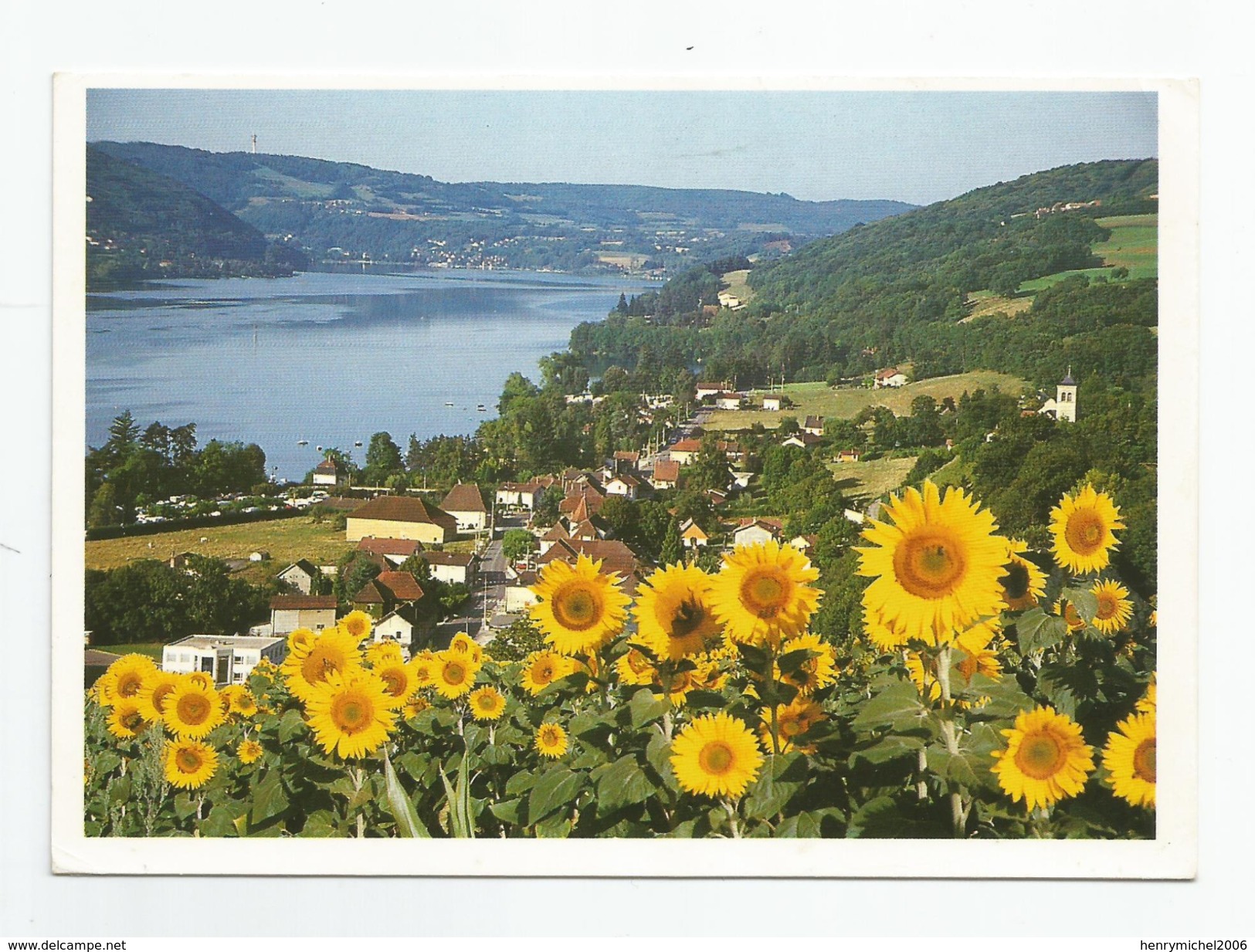 38 Isère - Paladru Fleurs Tournesols Et Son Lac - Paladru