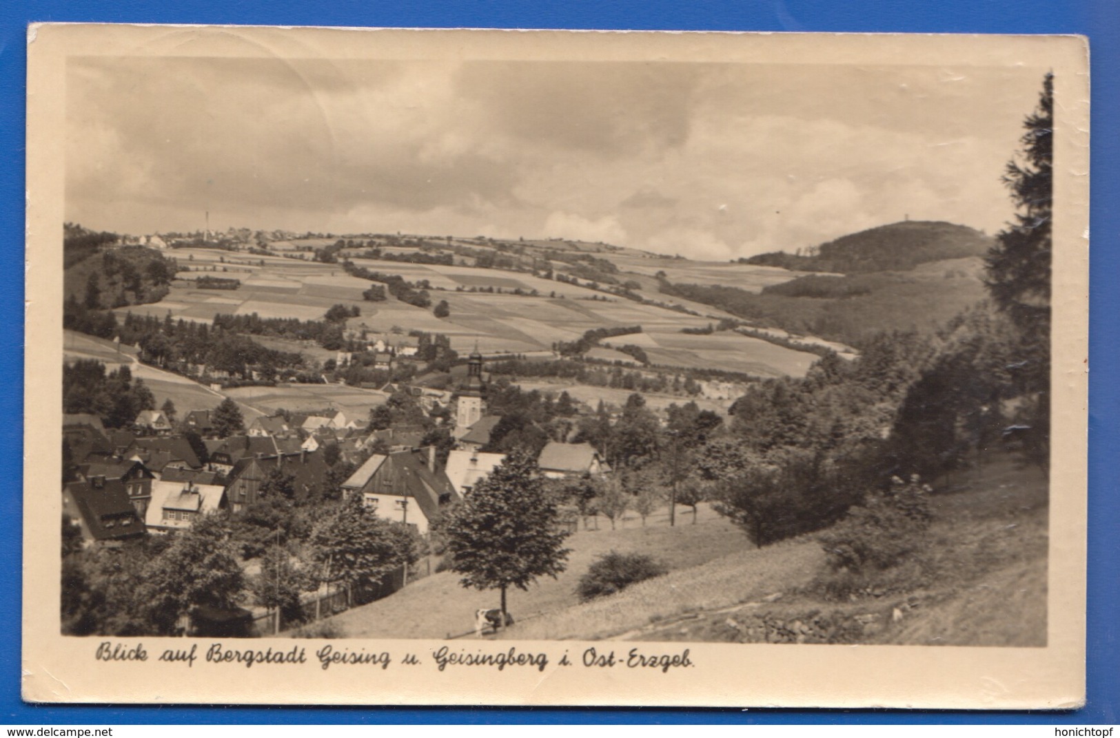 Deutschland; Geising; Panorama - Geising