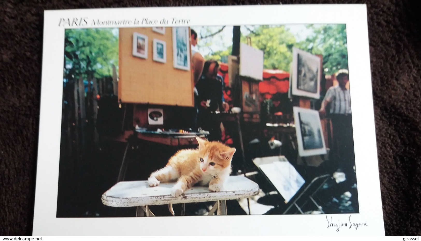 CPM CHAT CHATON PARIS PLACE DU TERTRE MONTMARTRE PHOTO SAGARA ED B PERRIN   PARMI LES PEINTRES - Flusspferde