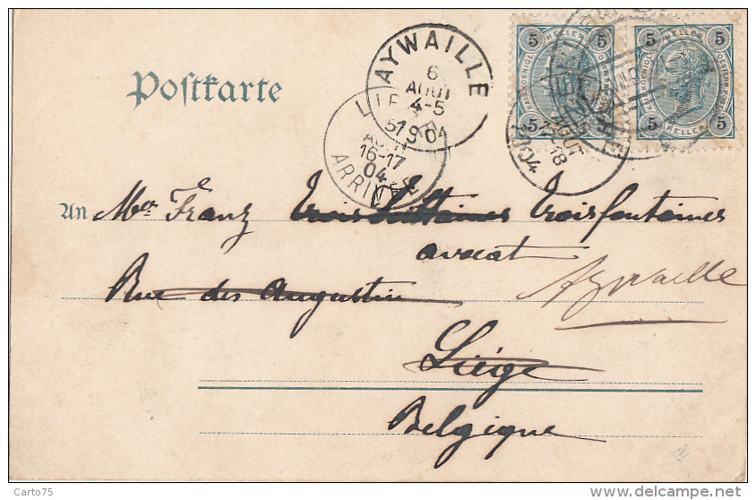 Autriche - Zell Am See -  G. D. Steinerne Meer - Postmarked Zell Am See Aywalle Liège 1904 - Zell Am See