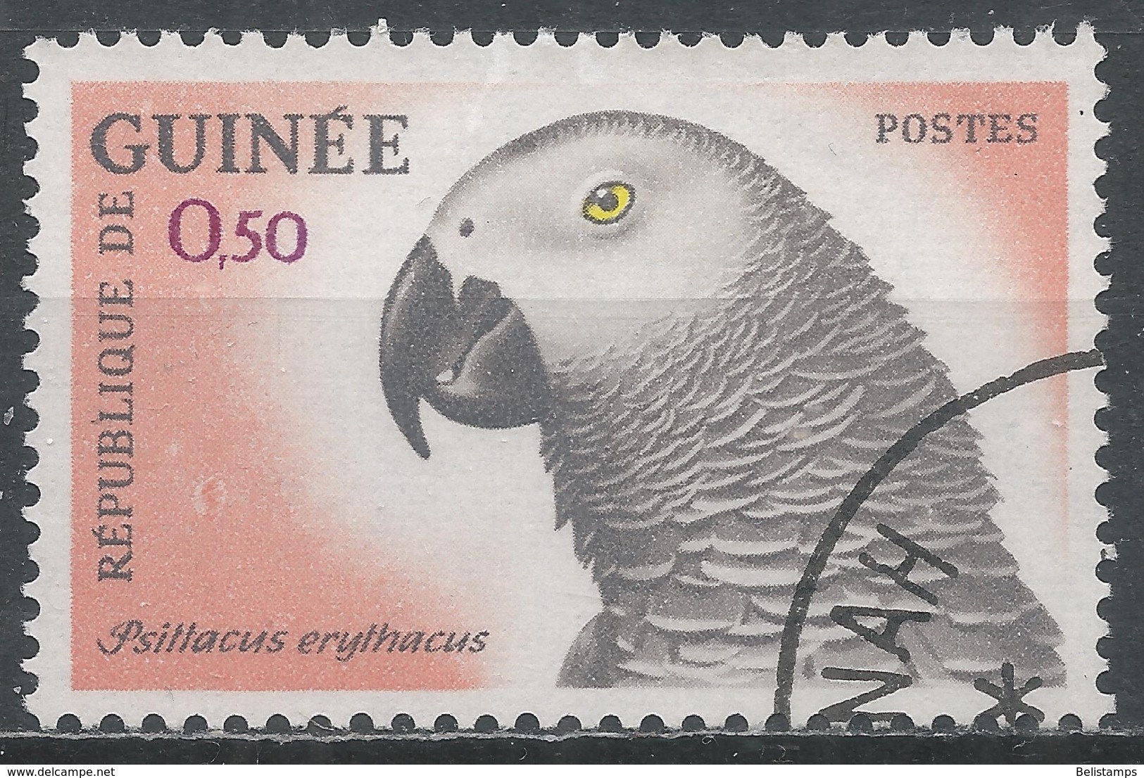 Guinea 1962. Scott #264 (U) Gray Parrot Bird * - Guinée (1958-...)