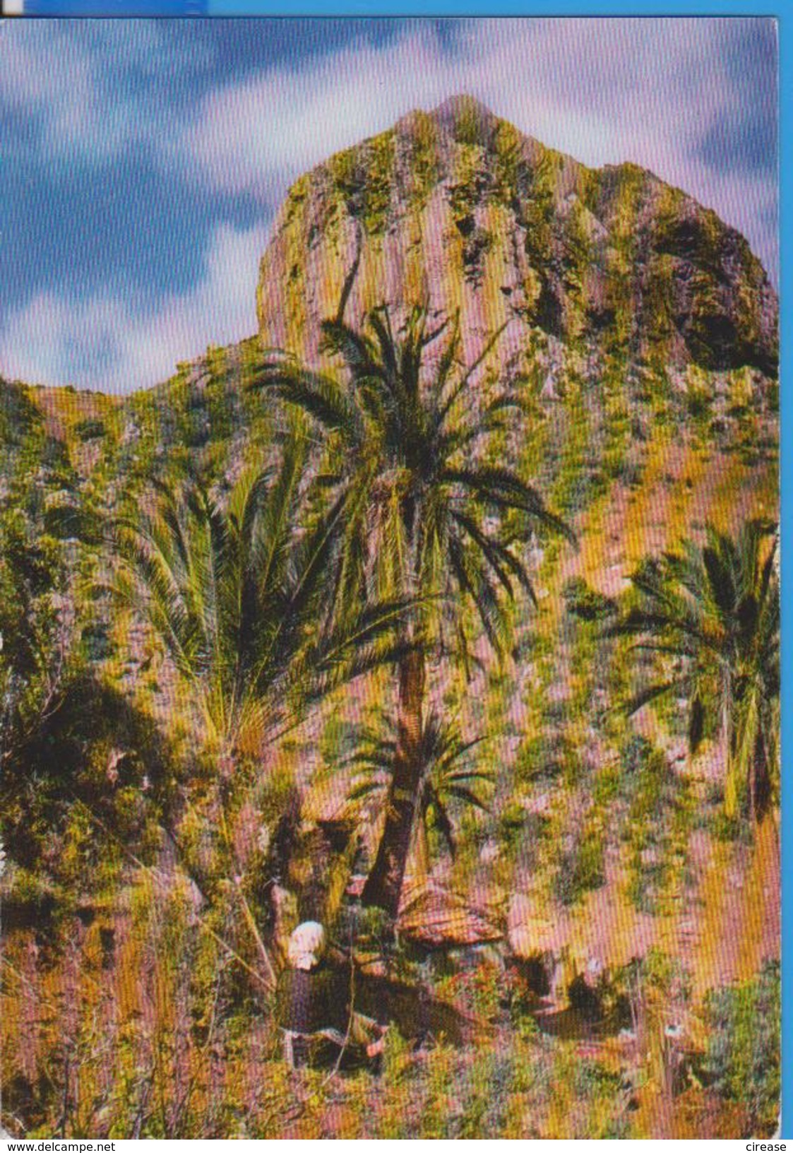 GOMERA SPAIN POSTCARD UNUSED - Gomera