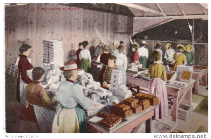 California Fresno Fig Packing 1908 - Fresno