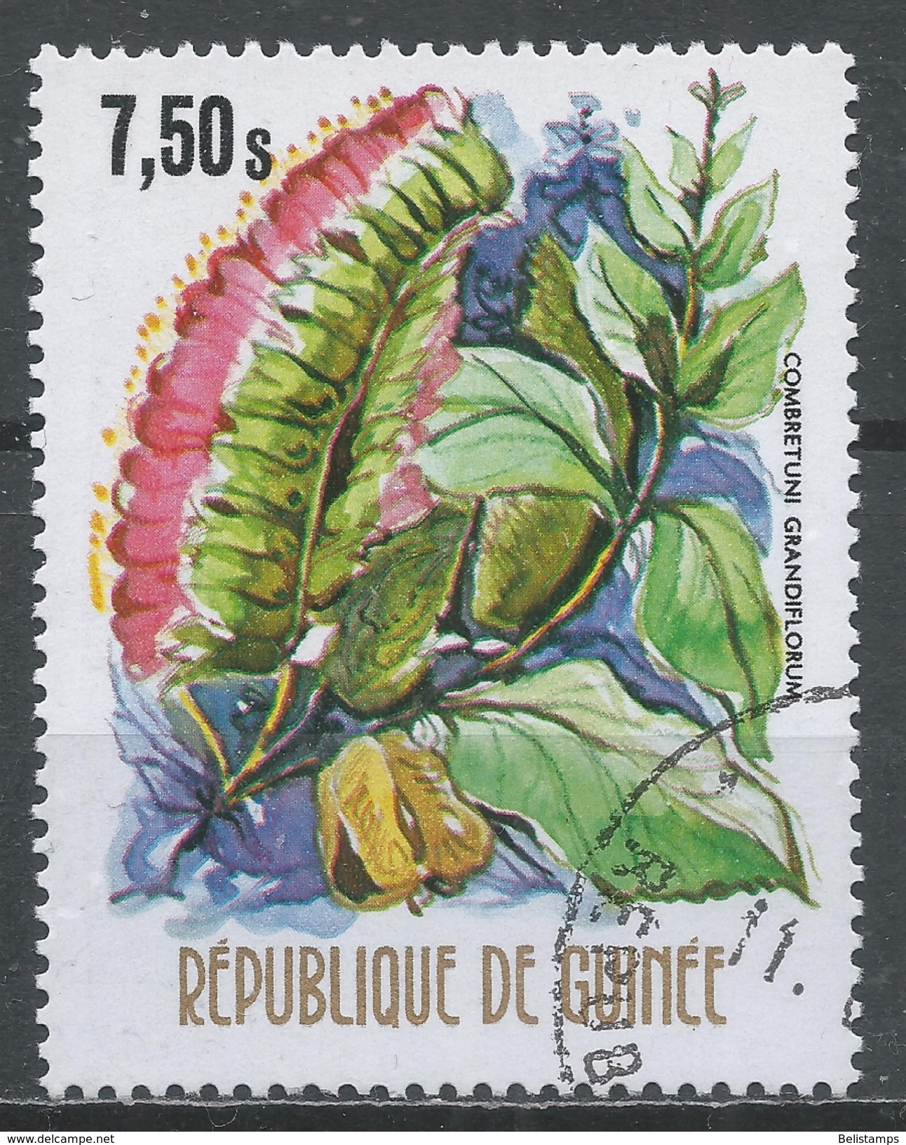 Guinea 1974. Scott #669 (U) Combretuni Grandiflorum Flower * - Guinée (1958-...)