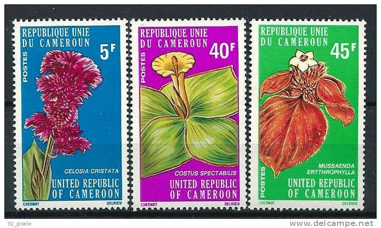 Cameroun YT 579 à 581 " Série Fleurs, 3 TP " 1975 Neuf** - Cameroon (1960-...)