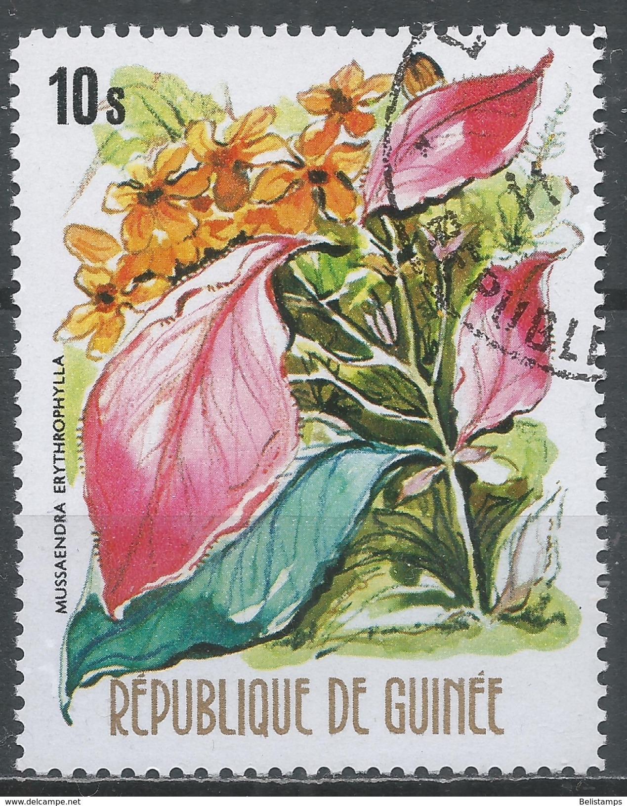 Guinea 1974. Scott #670 (U) Mussaendra Erythrophylia, Flower * - Guinée (1958-...)