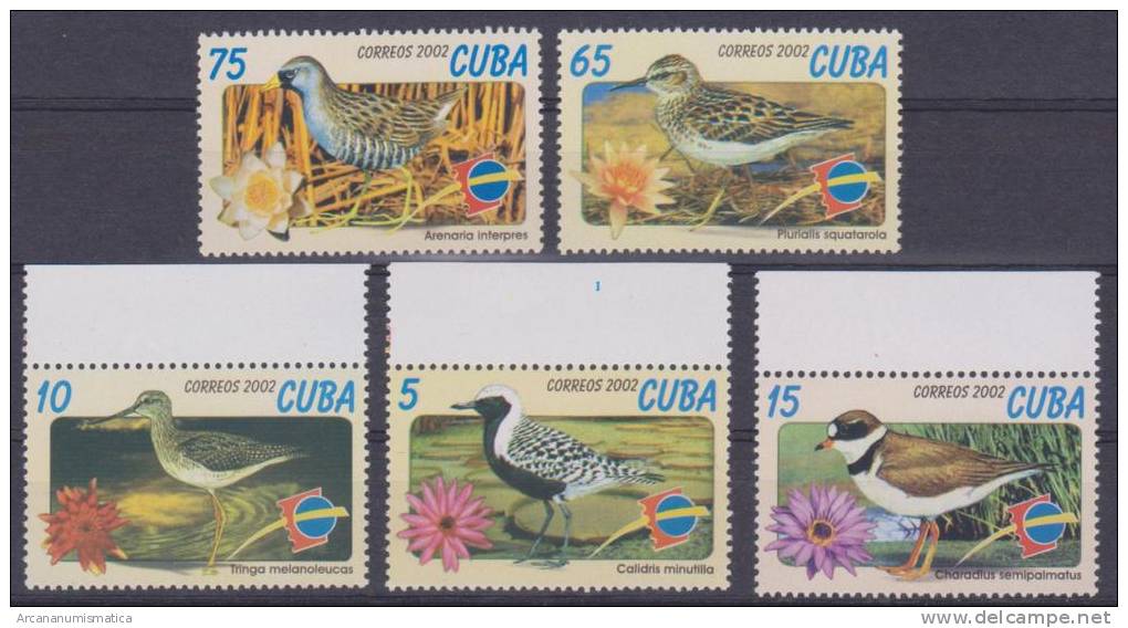 CUBA 2002  Serie De 5 Sellos Nuevos "PÁJAROS-BIRDS"   S-772 - Otros & Sin Clasificación