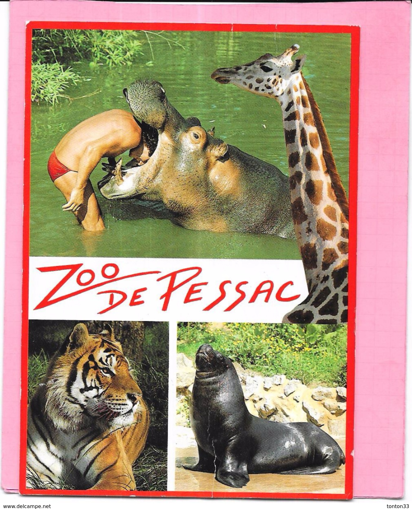 PESSAC - 33 -  Carte Pub Pour Le Zoo  - MOD - - Pessac