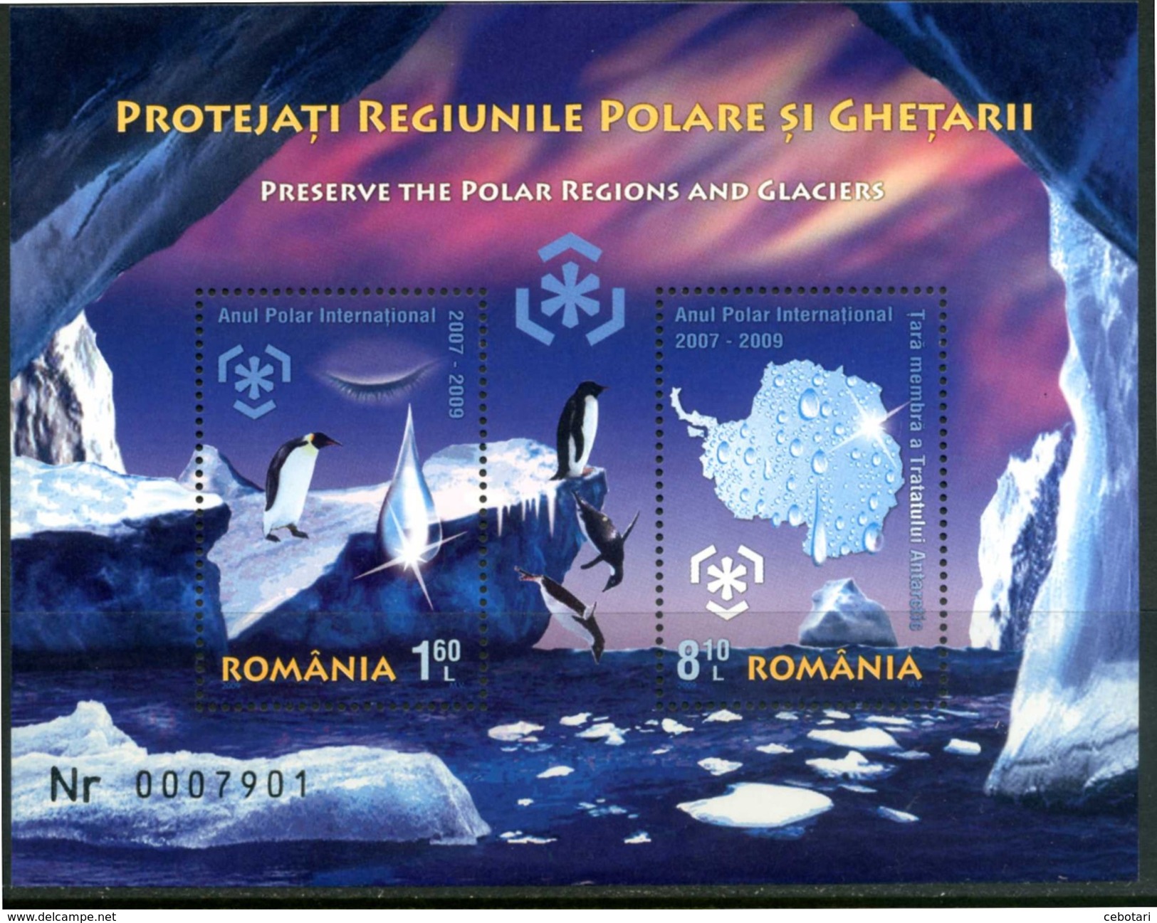 ROMANIA 2009** - Anno Polare Internazionale - Block MNH Come Da Scansione. - International Polar Year