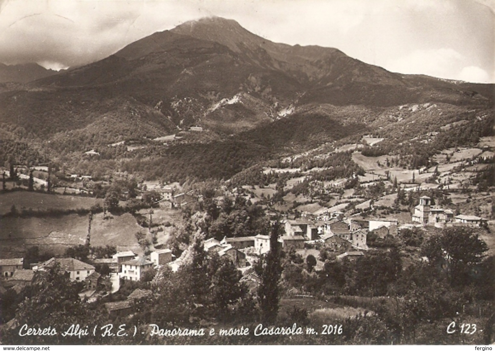 14/FG/17 - REGGIO EMILIA - CERRETO ALPI: Panorama E Monte Casarola - Reggio Emilia