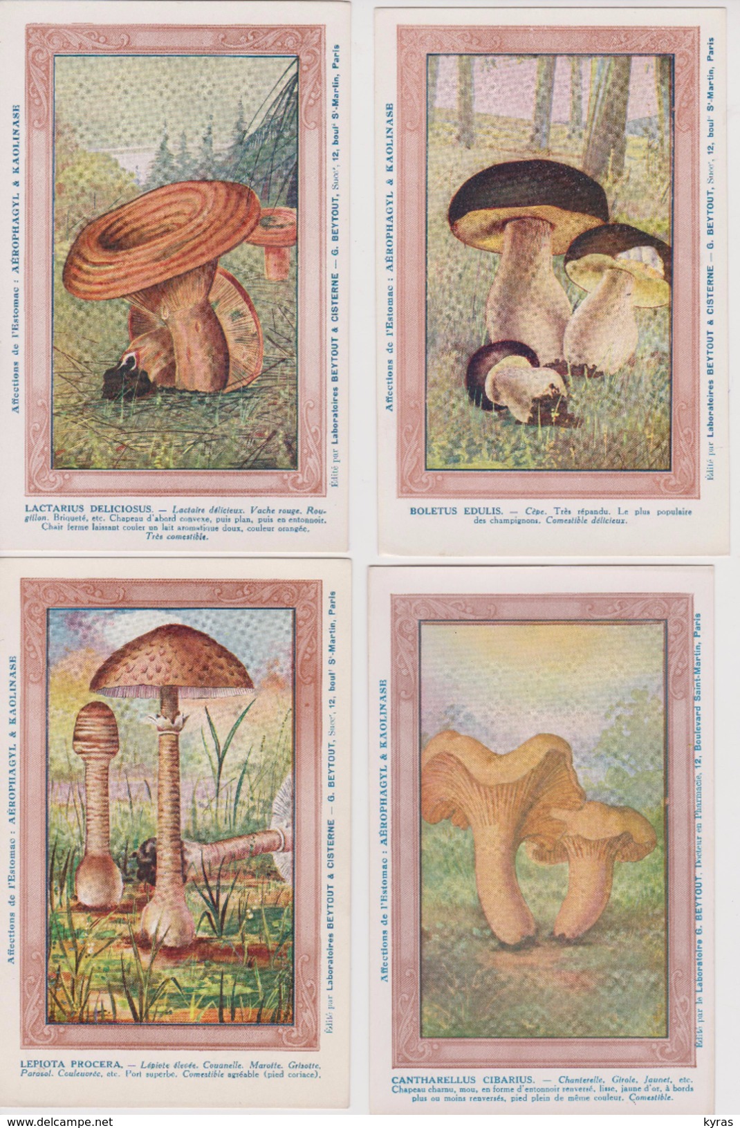 Lot 8 Fiches 9x14 CHAMPIGNONS (divers ) Pub Labo BEYTOUT & CISTERNE Paris10° (2xAérophagyl + 6xKaolinase ) - Paddestoelen