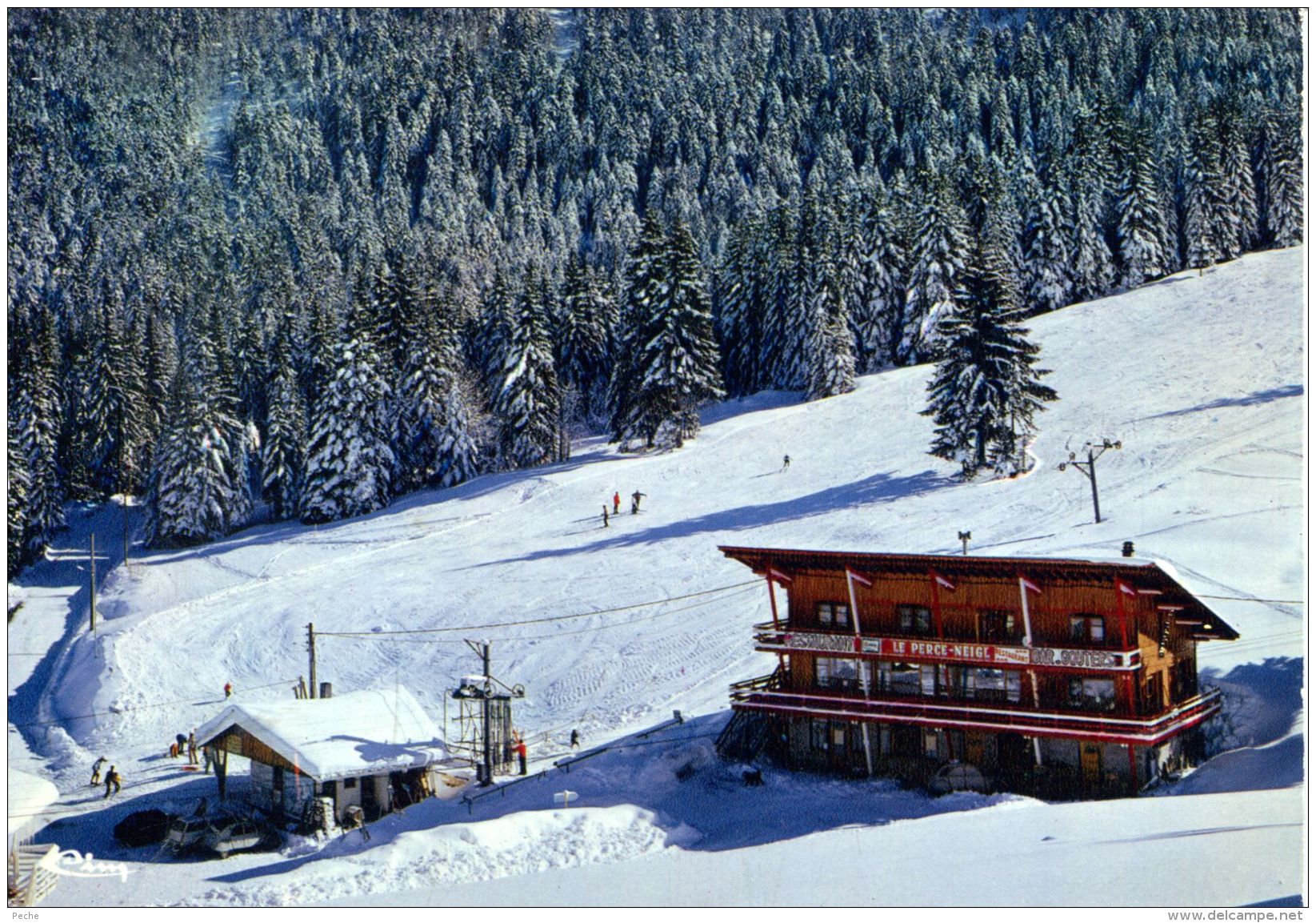 N°53370 GF-cpsm St Pierre D'Entremont - Planolet Les Pistes De Skis- - Sports D'hiver