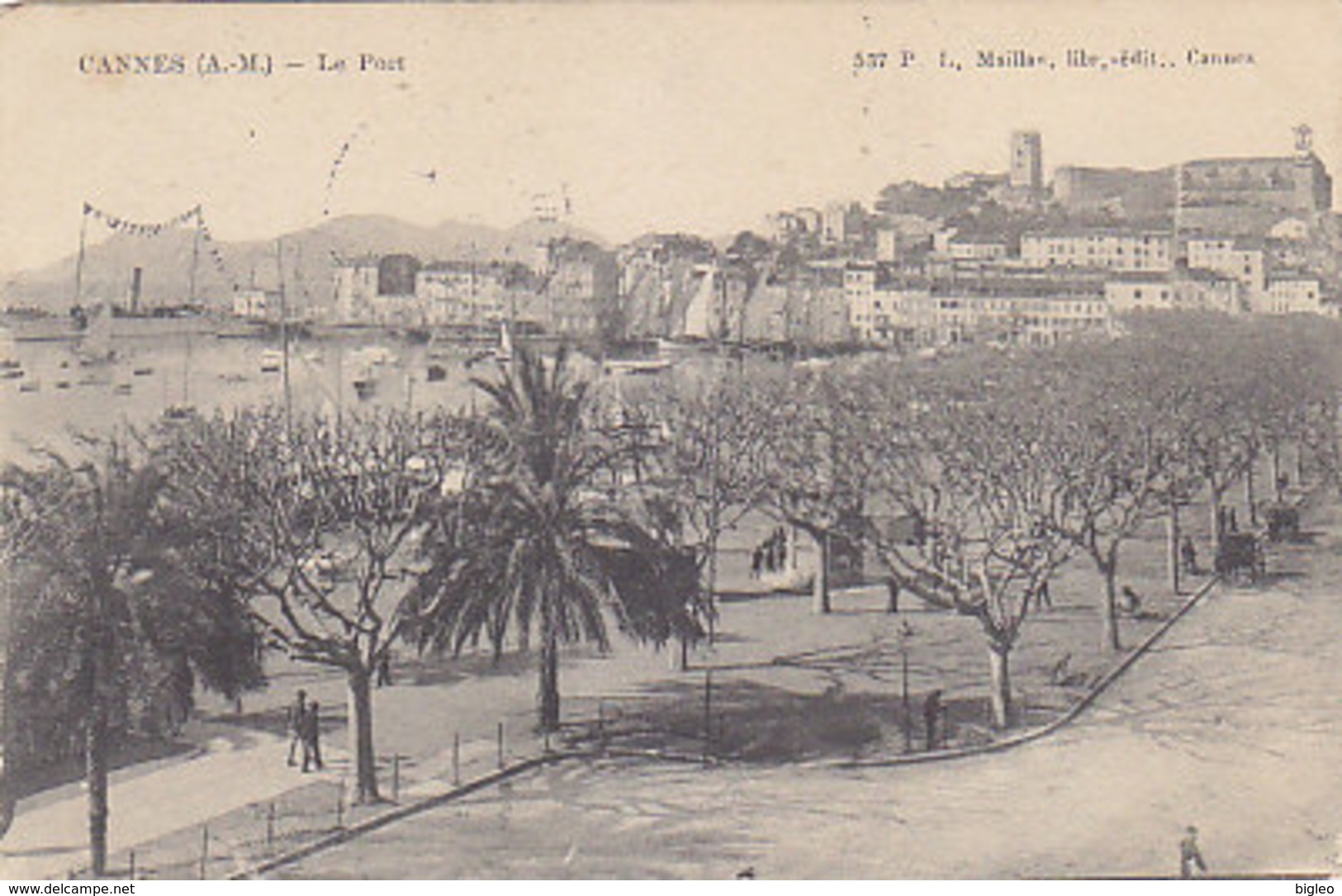 Cannes  - L'ancien Port - 1905     (A34-150104) - Cannes