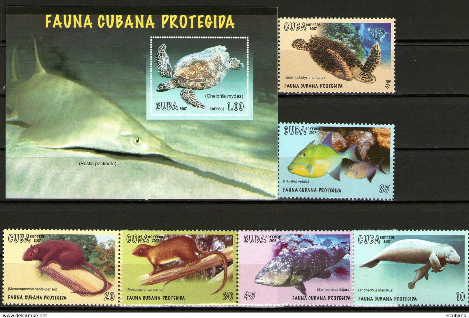 Cuba Francobolli Fauna Protetta Protegida - Ungebraucht