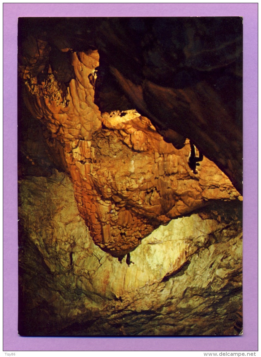 Grotta Di Bossea (Cuneo) Stalagmite Torrione Q. Sella - Cuneo