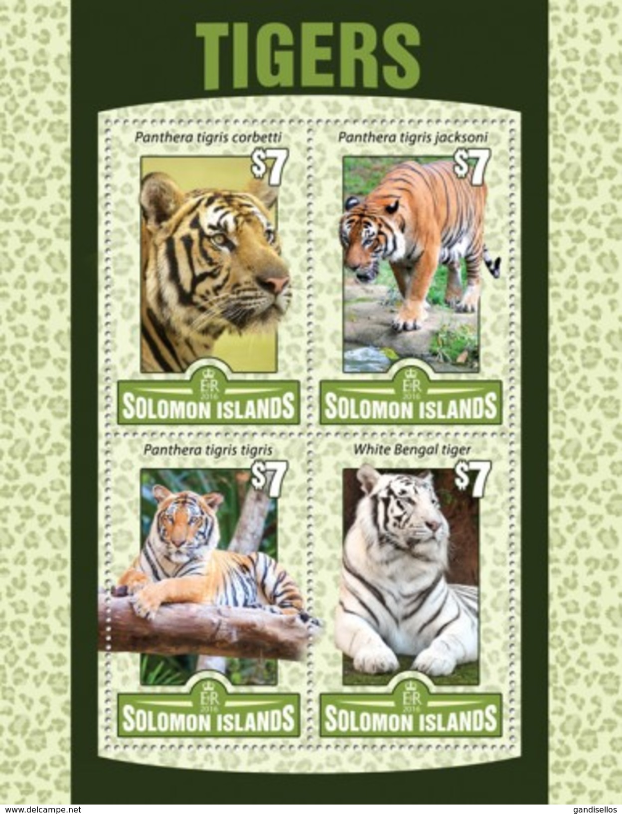 SOLOMON ISLANDS 2016 SHEET TIGRES TIGERS FELINES FELINS FELINI RAUBKATZEN FELINOS WILDLIFE Slm16121a - Isole Salomone (1978-...)