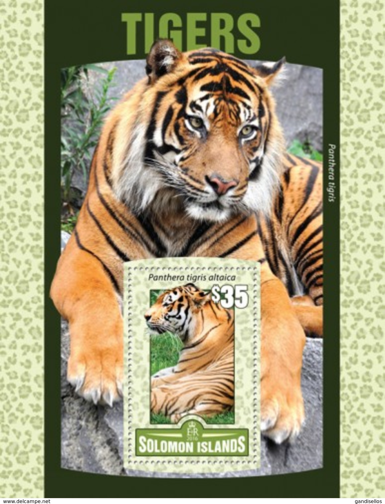 SOLOMON ISLANDS 2016 SHEET TIGRES TIGERS FELINES FELINS FELINI RAUBKATZEN FELINOS WILDLIFE Slm16121b - Solomoneilanden (1978-...)