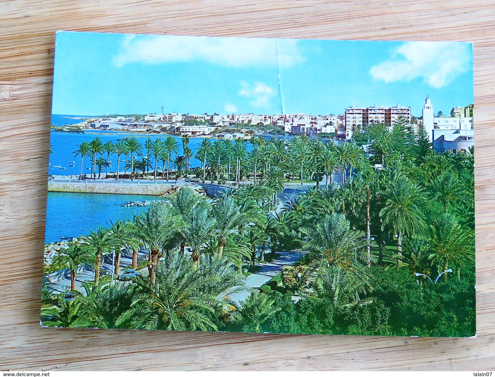 C.P.A. LIBYA : TRIPOLI : Public Gardens - Libye