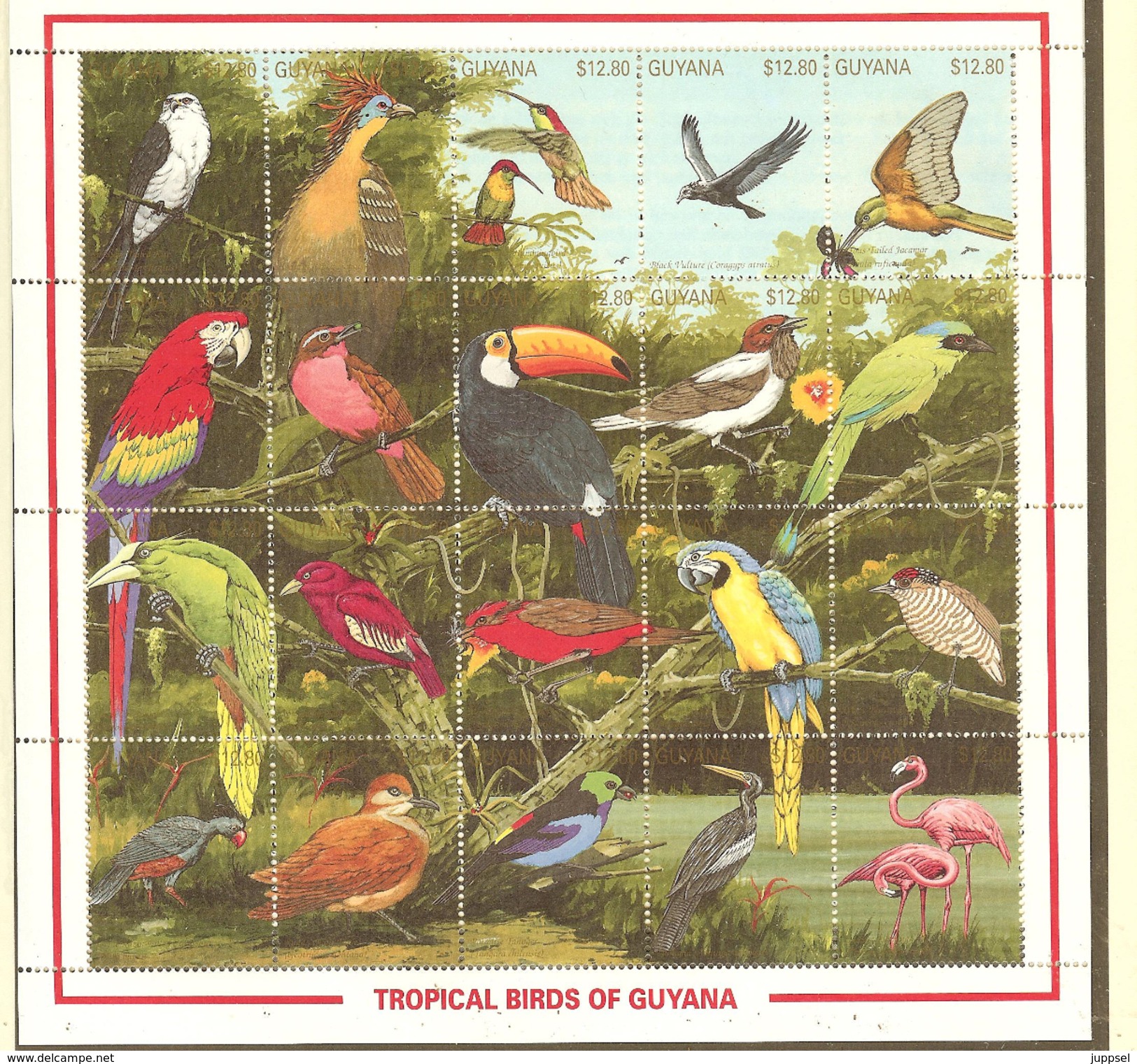 M/S MNH  GUYANA  Tropical Birds,  La GUYANE  Neuve Feuille Oiseaux Tropicales - Otros & Sin Clasificación