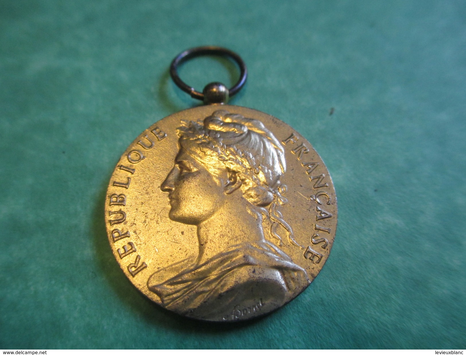Médaille Du Travail/France/Or/Ministère Du Travail/Sans Ruban/Attribuée/M CARON / Honneur Travail/ 1976   MED100 - Francia