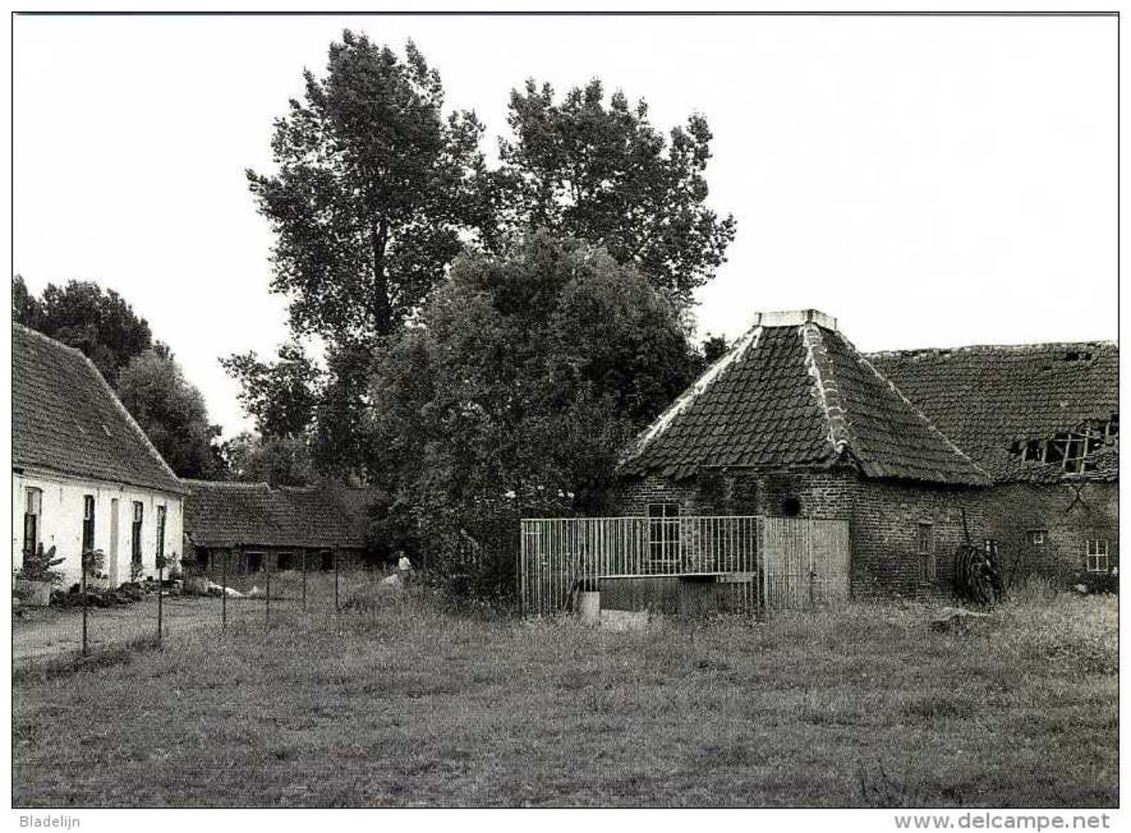 OLSENE - Zulte (O.Vl.) - Molen/moulin - Historische Prentkaart (1992) Van De Rosmolen Met Het Verdwenen Neerhof - Zulte