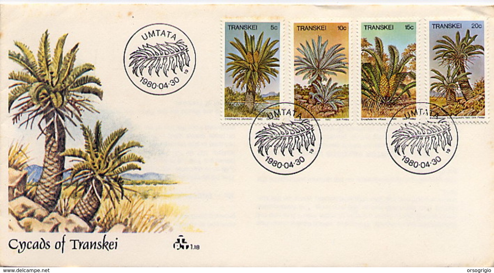 TRANSKEI - FDC 1980 - UMTATA - PALME  - FORESTRY - Legumbres