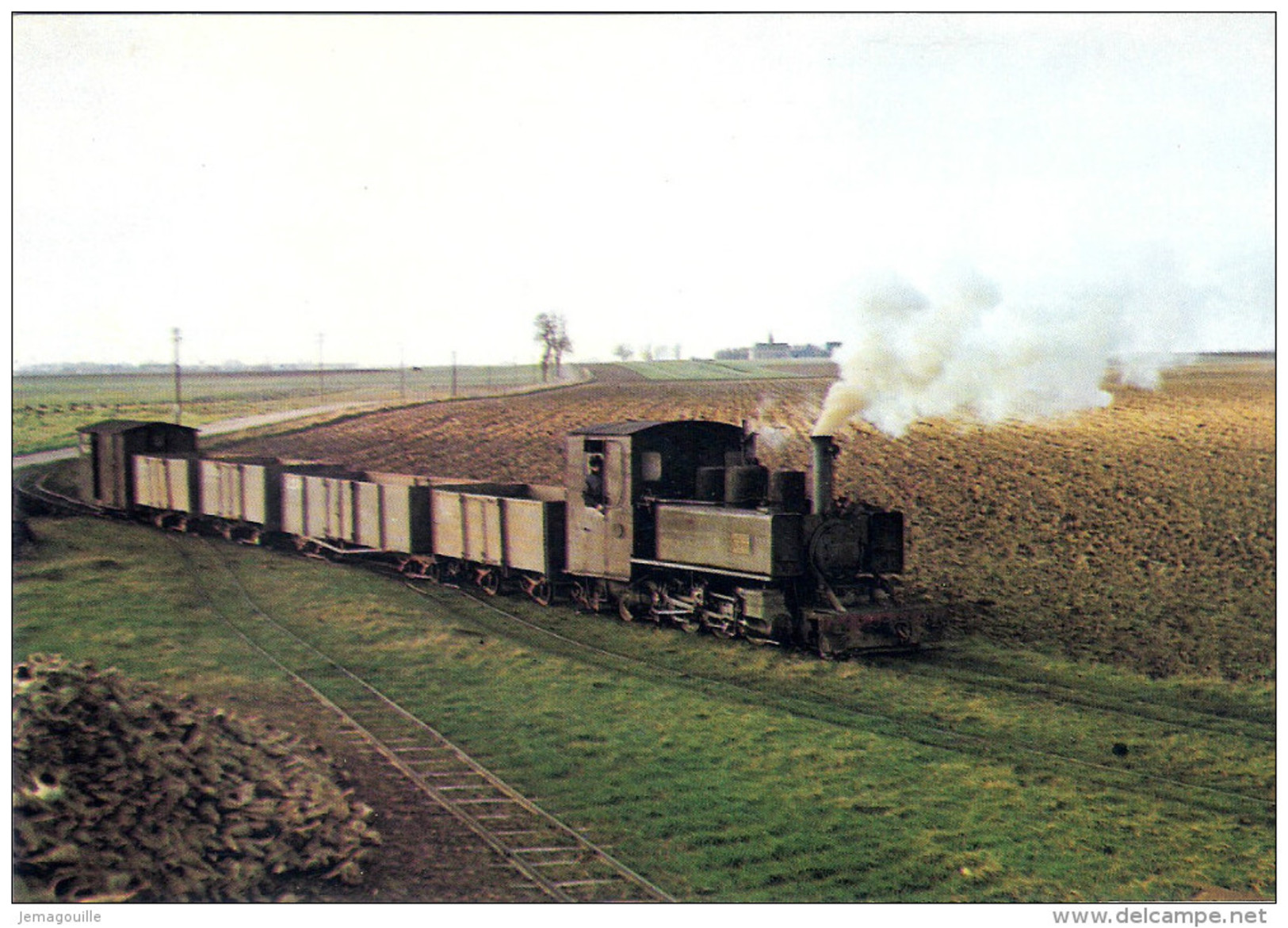 TRAMWAY DE PITHIVIERS A TOURY - Un Train De Betteraves Dans La Campagne Beauceronne Automne 1962 - S-3 - Tramways