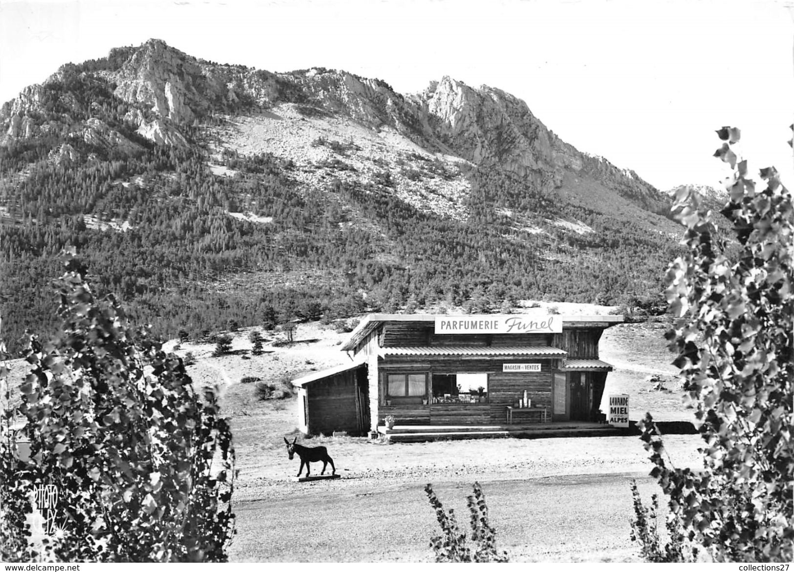 04-DIGNE ET CASTELLANE- ROUTE NAPOLEON, PARFUMERIE FUNEL - Digne