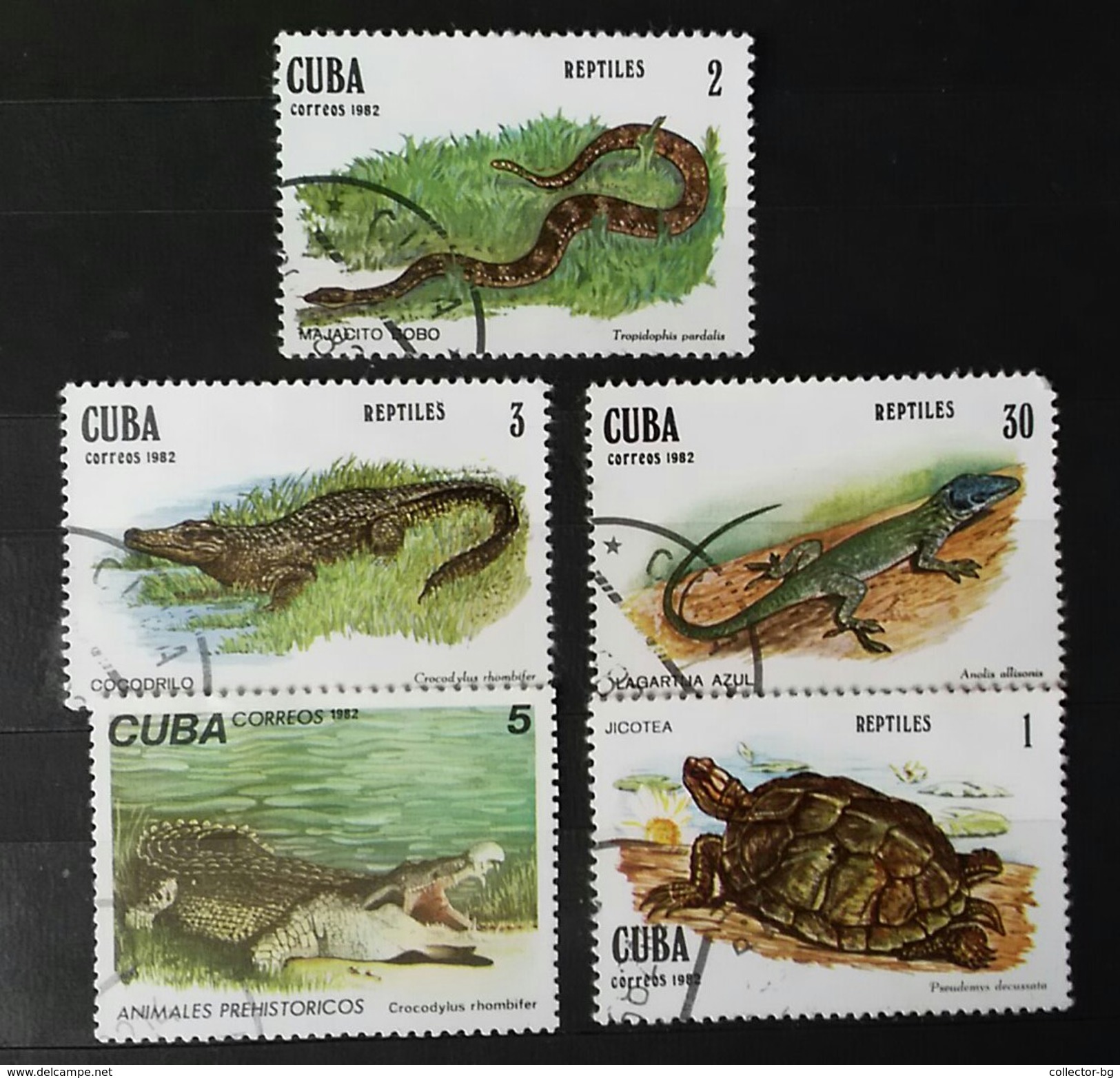 Unused stamps - RARE SET LOT 1982 CUBA 1+2+3+5+30 CORREOS ANIMAL STAMP  TIMBRE