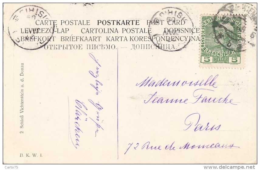 Autriche - Vichtenstein A. D. Donau - Schloss - Postmarked 1909 - Schärding