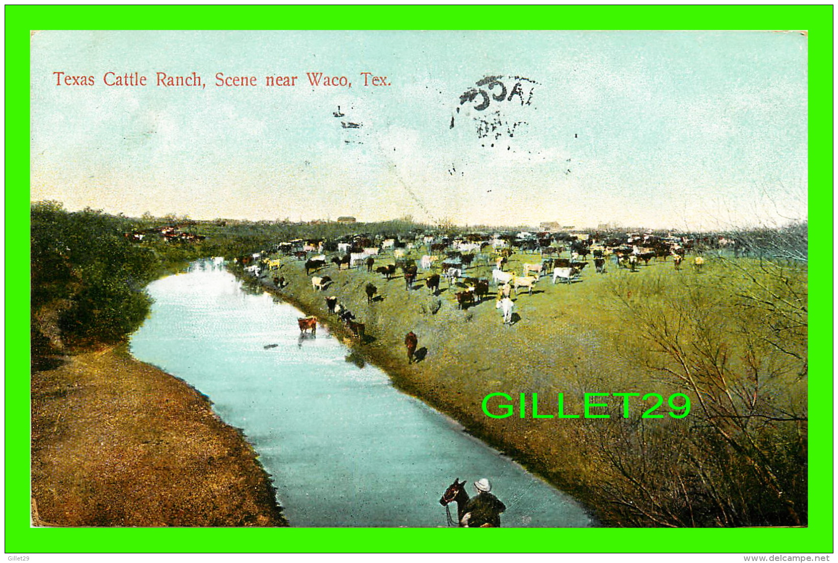 WACO, TX - TEXAS CATTLE RANCH SCENE -  TRAVEL -  INTERNATIONAL POST CARD CO - - Waco