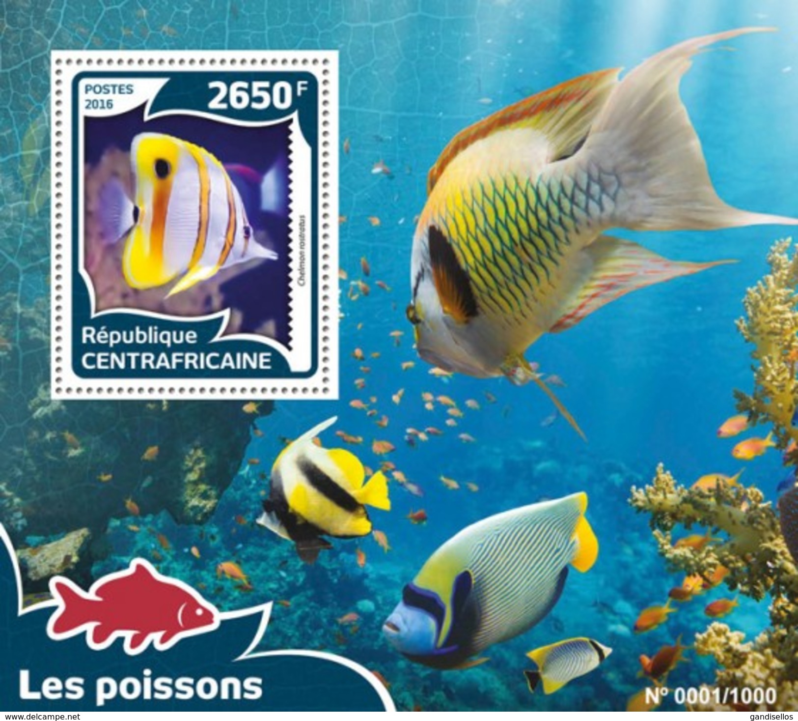 CENTRAFRICAINE 2016 SHEET FISHES POISSONS PEIXES FISCHEN PECES VIE MARINE LIFE Ca16008b - Zentralafrik. Republik