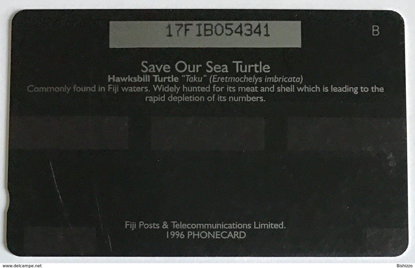 Save Our Turtles - Fiji