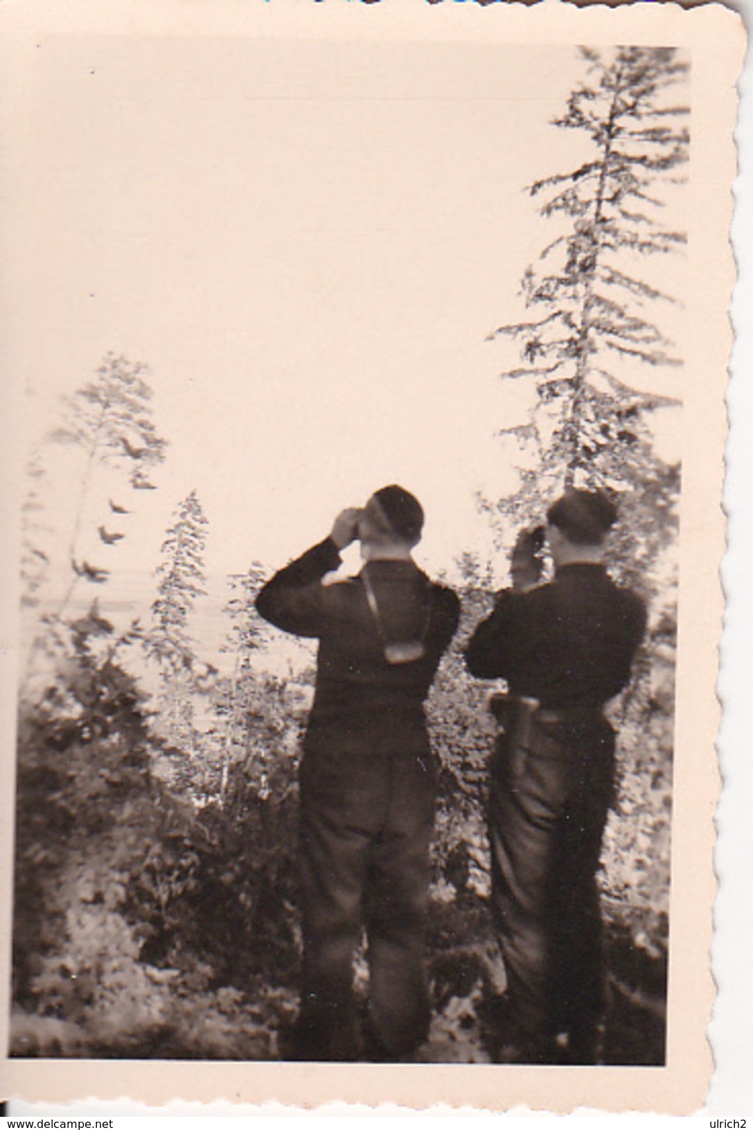 Foto Deutsche Soldaten Mit Fernglas - Duderhofer Höhe Mit Blick A. Petersburg U. Finn. Meerbusen - 1941 - 8*5cm (28395) - Krieg, Militär