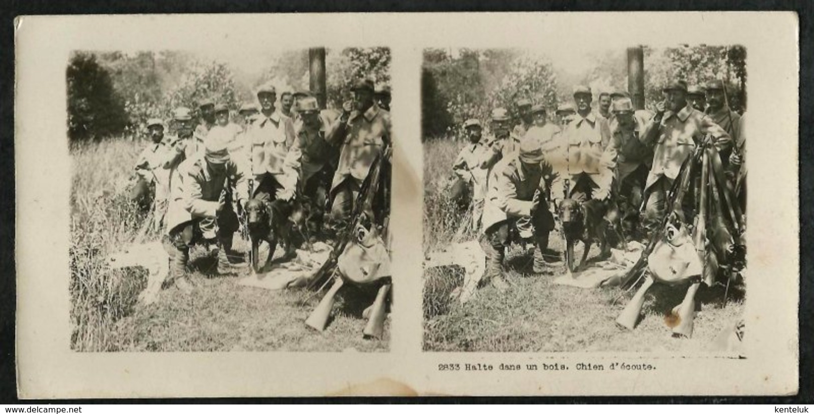 PHOTO STEREOSCOPIQUE FRANCAISE 14-18:HALTE DANS UN BOIS-CHIEN D'ECOUTE - 1914-18